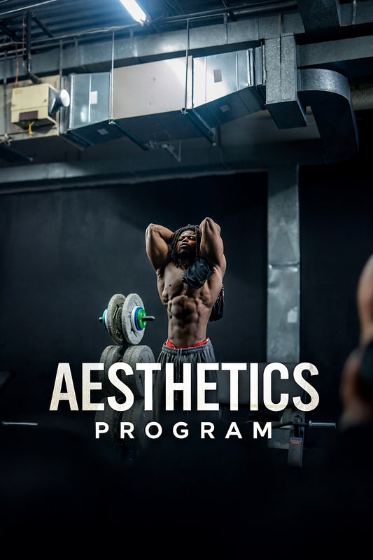 Tbow’s Guide to Aesthetics – Complete Workout Program
